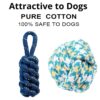 61MH-cSZhLL._SL1200_.jpg Tail Dog Toys + Dog Chew Toys + Puppy Teething Toys + Rope Toys + Dog Toys for Small to Medium Dog Toys + Dog Toy Pack(Pack of 5)