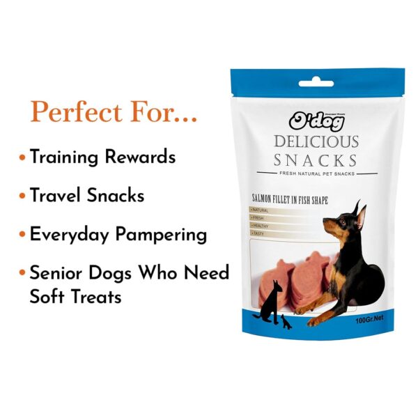 61MPQ0kMDcL._SL1080_.jpg PETS EMPIRE O'Dog Fish Shape Salmon Fillet, Healthy Dog Treats, Chewy Dogs Bites for Training and Feeding, Made with Real Salmon, Non-Vegetarian Pup Snacks for Dogs, Puppies - 100g
