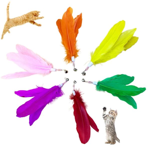 6PCS Cat Toys, 6-Color Cat Feather Toppers with Bells Replaceable Flying Bird Toy Attachments for Kittens & Persian Cats Safe Cat Toys Accessories (No Wand Included)