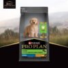 61MiJd7VqL._SL1200_.jpg PURINA PRO Plan Puppy Food for Large Sized dogs-1kg