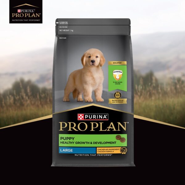 61MiJd7VqL._SL1200_.jpg PURINA PRO Plan Puppy Food for Large Sized dogs-1kg