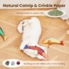 61N0uzVI1BL.jpg D&C PAWS Catnip Fish Toy for Cats Soft and Durable, Interactive Cat Kicker Toys for Indoor Kitten Exercise 8 Inches Teething Chew Toy for All Breeds (Pack of 1 Pcs, Multicolor)
