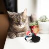 61NfWumrE8L._SL1190_.jpg BarkButler x FOFOS Black Bird Cat Toy - Cat Toys Interactive, Flappy Bird Cat Toy with Catnip - Black