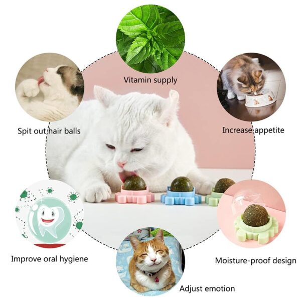 Catnip Wall Toys, Balls for Teeth Cleaning and Biting, Edible Licking Chew Toy, Rotatable Indoor Cat Toy (Green)