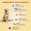 Benny's Bowl Fresh & Wet Dog Food - Chicken & Rice - 5 Packs x 100 G,All Life Stages