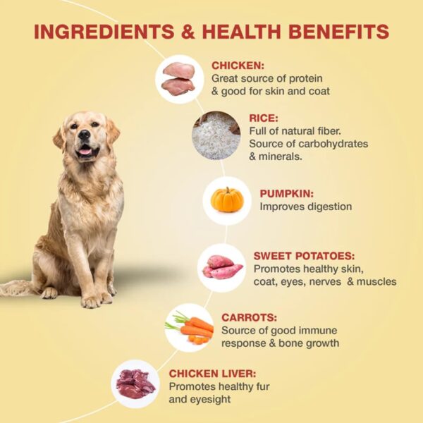 Benny's Bowl Fresh & Wet Dog Food - Chicken & Rice - 5 Packs x 100 G,All Life Stages
