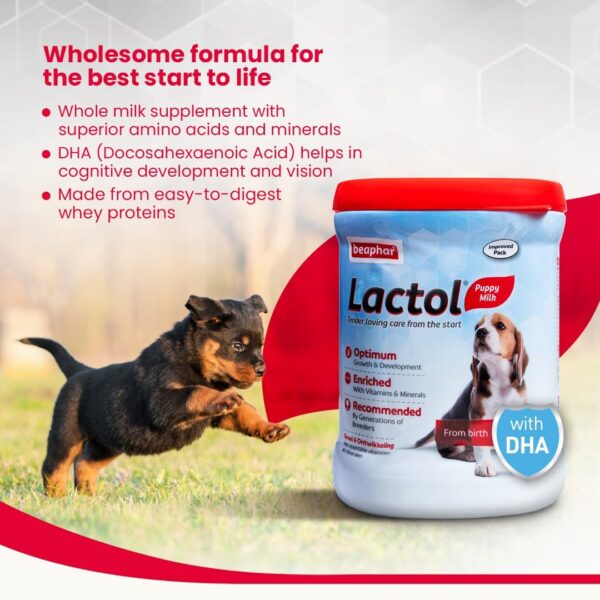 61OaQ8g1DL._SL1080_.jpg Beaphar Lactol Newborn Puppy Dog Milk Food with DHA, Vitamins & Minerals, Puppy Milk Replacer, Free Lactol Feeding Set - 400g