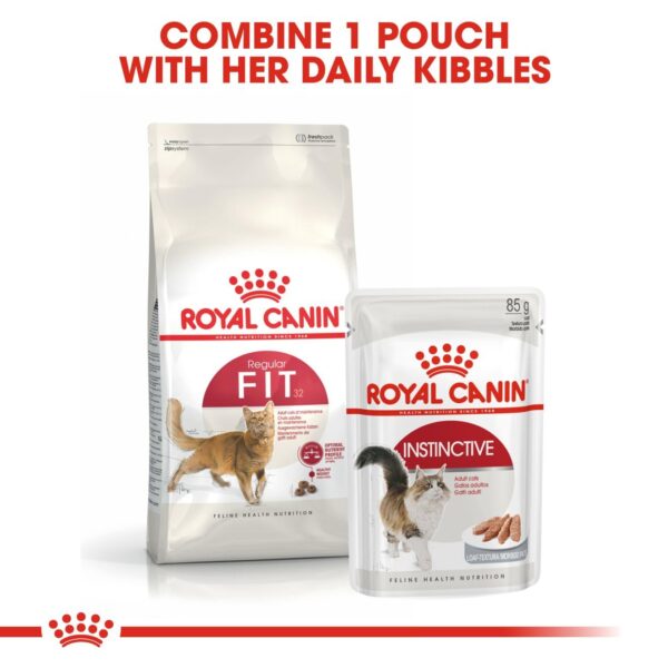 Royal Canin Fit 32 Regular for Adult Cats, 1 Kg, Dry Food, Supports Optimal Nutrient Profile and Healthy Weight