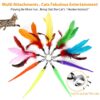 61OmazwrwoL._SL1024_.jpg Qpets® Cat Teaser Toy,11 Pcs Cats Toys Set with 2 Retractable Teaser Wand & 5 Feather Teaser & 4 Worm Teaser for Kitten to Play Chase Activity Exercise