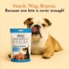 61P1ZjxI4VL._SL1080_.jpg PETS EMPIRE O'Dog Fish Shape Salmon Fillet, Healthy Dog Treats, Chewy Dogs Bites for Training and Feeding, Made with Real Salmon, Non-Vegetarian Pup Snacks for Dogs, Puppies - 100g