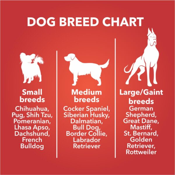 Drools Chicken and Egg Biscuit, Dog Treats 800g, All Life Stages