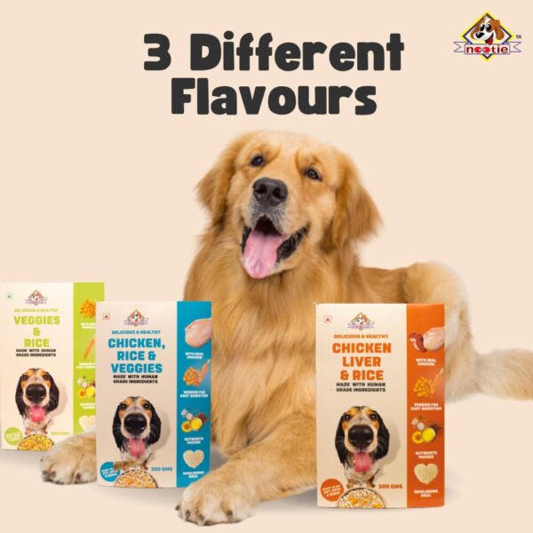 Nootie Freshly Wholesome Meal All Natural Wet Dog Food | Nootie Freshly Wholesome Meal All Natural Wet Dog Food | Gluten Free I Non Vegetarian | Human Grade Ingredients, Made with Real Chicken-300g (Chicken Biryani)