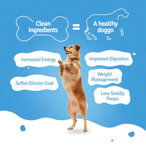 61QIfAm63ML._SL1080_.jpg BLEP Dog Food Adult & Puppy | 600g | Dog Wet Food, High Protein, Omega 3&6, Contains Chicken Breast, Broccoli, Pumpkin, Zucchini, Zero Preservatives, Digestible, Human Grade(6 Packs of 100g)