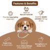61QJdLX69mL._SL1200_.jpg Bowlers Dog Treats Chewrope Bight| for Small & Medium Breeds & Puppies | Made of Natural Material |Strengthens & Cleans Teeth | 2 in 1 Toy Plus Treats for bonding with Pets