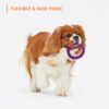 Amazon Basics Dog Toys (Set of 3) - Red Hole Ball, Squeezy Pear Fruit Toy and Twisted Pull Ring | Interactive Play for Dogs & Puppies