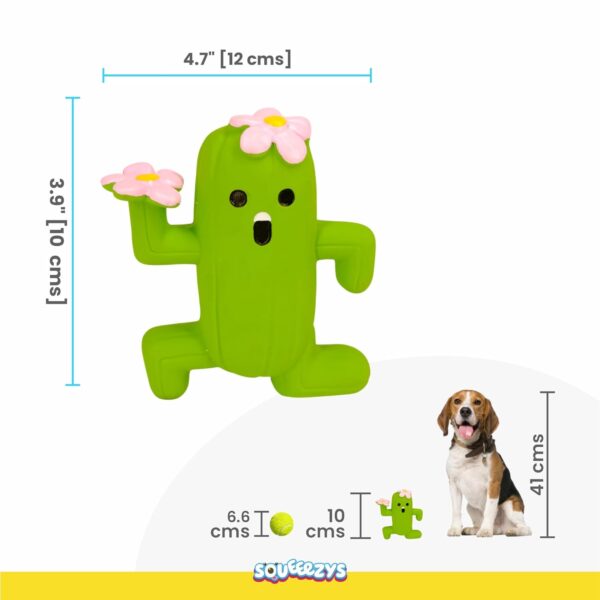 Cactus Man – Squeaky Toys for Dogs, Latex Dog Toys for Medium Dogs (0–20kgs) – Green