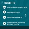 61RDcWHlQuL._SL1500_.jpg Goofy Tails Wet Cat Food and Kitten Food Variety Pack 210g (70g X 3 Pouches), Tuna and Anchovies, Mackerel and Seaweed, Chicken and Flaxseeds, Preservative Free, Wholesome, Natural Cat Wet Food