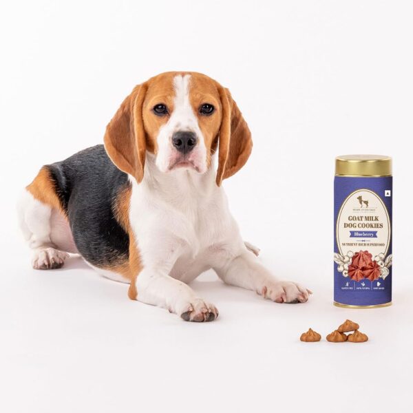 Heads Up For Tails HUFT Adult Goat Milk Dog Cookies - Blueberry | Premium Dog Biscuits for Puppies, Pomeranians & Adult Dogs | Veg Dog Treats for Training, Snacking & All Breeds - 200 gm