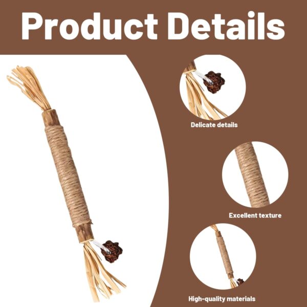 Cat Toys, 4Pcs Cat Chew Toy, Cat Playing Toys for Indoor, Stick for Cats with Sisal Rope and Gall Fruit, Natural Catnip Alternative