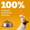 Pedigree Adult Wet Dog Food, Grilled Liver Chunks Flavour in Gravy with Vegetables, 70 g (Pack of 30), Complete & Balanced Nutrition for Adult Dogs