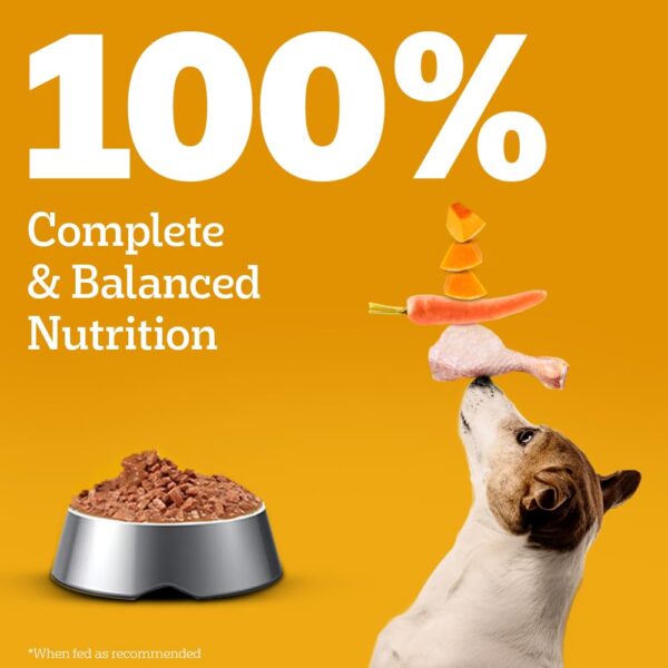 Pedigree Adult Wet Dog Food, Grilled Liver Chunks Flavour in Gravy with Vegetables, 70 g (Pack of 30), Complete & Balanced Nutrition for Adult Dogs