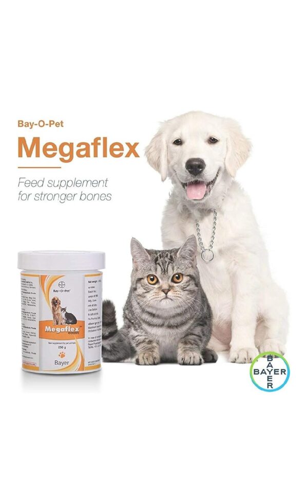 Megaflex Complete Nutritional Supplement for Joint Care for Dogs, Puppies, Cats and Kittens, 250 g, 1 Piece