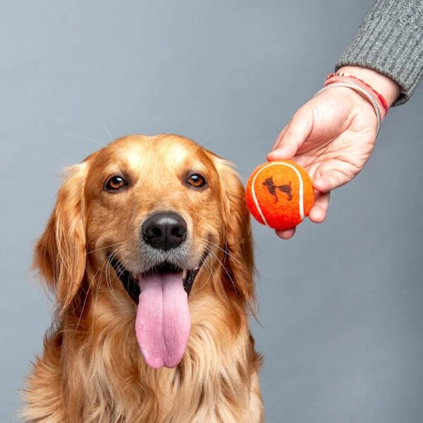Heads Up For Tails Quintessential Tennis Dog Ball - Set of 2