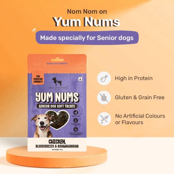 Heads Up For Tails Yum Nums Chicken,Blueberries & Ashwagandha Soft Treat for Senior Dog|High in Proteins|Gluten & Grain Free|Salt & Sugar Free|No Artificial Colours|Farm-Fresh - 70 Gm,Tablet