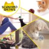 61TxOXVJvgL._SL1000_.jpg KUTKUT 12Pcs Crinkle Balls for Cats, Shiny and Stress Buster Crinkler, Suitable for Multiple Cats' Play, Ideal for Kittens and Grown-up Cats