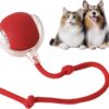 ESCUCHA Interactive Cat Ball Toy with Rope Tail, Smart Rolling Ball for Indoor Cats and Dogs (Multicolor)
