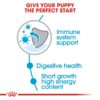 Royal Canin Medium Puppy Food, 1 Kg, Dry Food, Supports Digestive Health & Immune System, Provides Short Growth & High Energy Content
