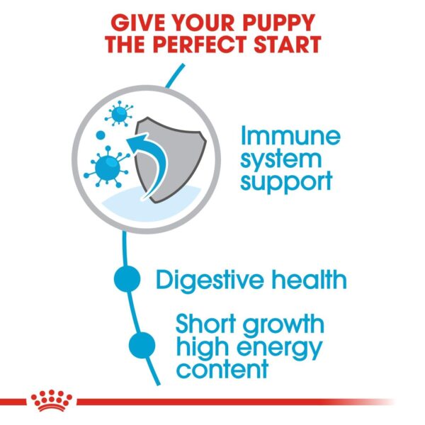 Royal Canin Medium Puppy Food, 1 Kg, Dry Food, Supports Digestive Health & Immune System, Provides Short Growth & High Energy Content