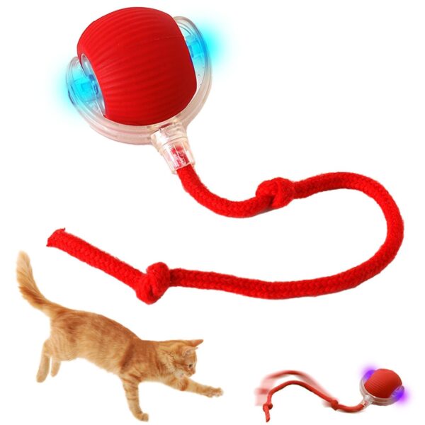Cat Toys Ball – Smart Rolling LED Ball, Automatic & USB Rechargeable Motion Activate for Indoor Kitten Puppy Dog cat- Pet Exercise, IQ Training, Fun & Engaging Pet Toy