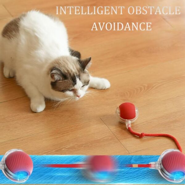 61U4I34zxdL._SL1280_.jpg 2025 Upgraded Interactive Cat Toys Balls,Interactive Rolling Cat Ball, Automatic Moving Cat/Dog Balls for Indoor Cats 360° Fast Rolling on Carpet, Motion Activate Cat/Dog Toys (red)