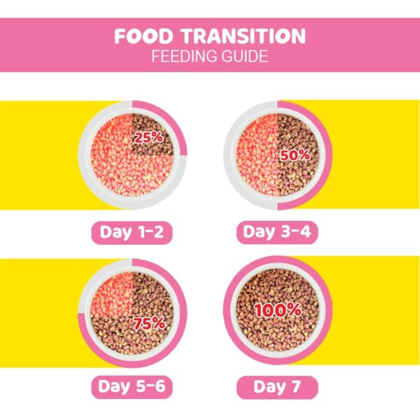 Me-O Dry Cat Food, Gourmet Flavor (1.1 Kg), Adult