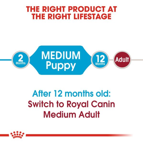 Royal Canin Medium Puppy Food, 1 Kg, Dry Food, Supports Digestive Health & Immune System, Provides Short Growth & High Energy Content