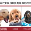 BOLTZ Cotton Rope Chew Toy for Dogs Large with 5 Chew Knots 25 Inch in Length