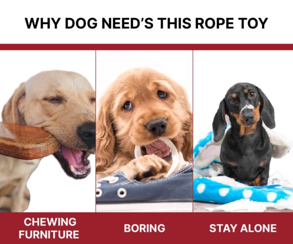 BOLTZ Cotton Rope Chew Toy for Dogs Large with 5 Chew Knots 25 Inch in Length