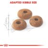 Royal Canin Fit 32 Regular for Adult Cats, 1 Kg, Dry Food, Supports Optimal Nutrient Profile and Healthy Weight