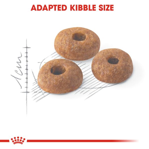 Royal Canin Fit 32 Regular for Adult Cats, 1 Kg, Dry Food, Supports Optimal Nutrient Profile and Healthy Weight
