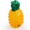 The Pets Company Puppy Chew Toy, Squeaky Dog Toy, Pineapple