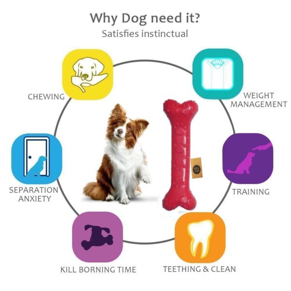 61WpZ7DJt3L._SL1001_.jpg The Dogs Company Natural Rubber Teething Dog Chew Bone Toy for Adult Dogs, Large (8.5 Inch)