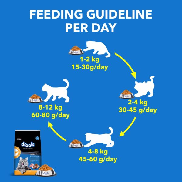 Drools Adult Dry Cat Food, Real Chicken Flavour 1.2 kg Pack