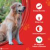 61X0-m9o9PL._SL1200_.jpg SUPERCOAT Purina Adult Dry Dog Food, 1+ Years, with Chicken, Smartblend Precise Nutrition for Whole Body Health, No Artificial Colours & Flavours, 2.5Kg, Bag