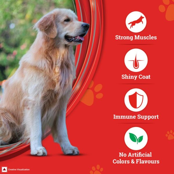 61X0-m9o9PL._SL1200_.jpg SUPERCOAT Purina Adult Dry Dog Food, 1+ Years, with Chicken, Smartblend Precise Nutrition for Whole Body Health, No Artificial Colours & Flavours, 2.5Kg, Bag