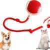 HobbyLobby Interactive Rolling Chewie Ball for Cats & Dogs Smart 360� Automatic Rolling Pet Toy Chewie Doggie Ball for Small & Large Pets Fun Exercise & Play