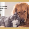 Omega 3+6 Concentrated Salmon Fish Oil for Dogs & Cats with Vitamins & Minerals | Shinier Coat, Itch & Allergy Control | Improves Skin & Hair Health | Nutritional Supplement for Pets - 100 ml