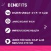 61XvKh-QcJL._SL1500_.jpg Goofy Tails Tuna and Anchovies Wet Cat Food and Kitten Food, 350g (70g X 5 Pouches), Preservative Free, Gluten & Grain Free, Balanced Cat Wet Food, Powered by Taurine with Omega 3 & Antioxidants