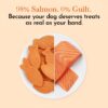 61YPtsR9v7L._SL1080_.jpg PETS EMPIRE O'Dog Fish Shape Salmon Fillet, Healthy Dog Treats, Chewy Dogs Bites for Training and Feeding, Made with Real Salmon, Non-Vegetarian Pup Snacks for Dogs, Puppies - 100g
