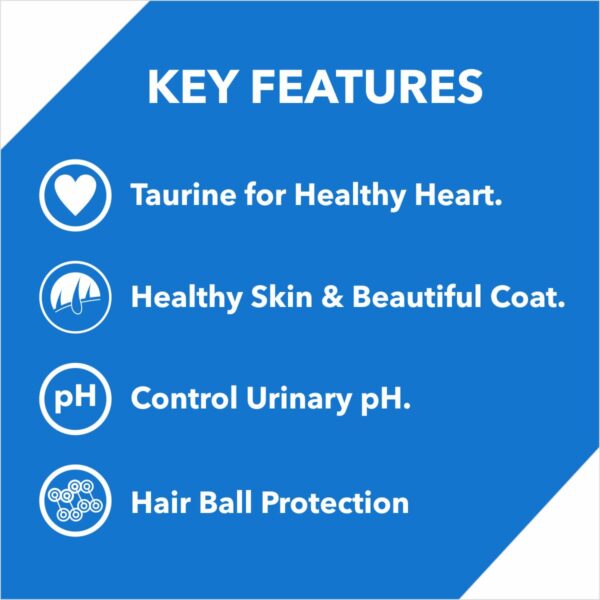 Drools Adult Dry Cat Food, Tuna Salmon 1.2 Kg Pack